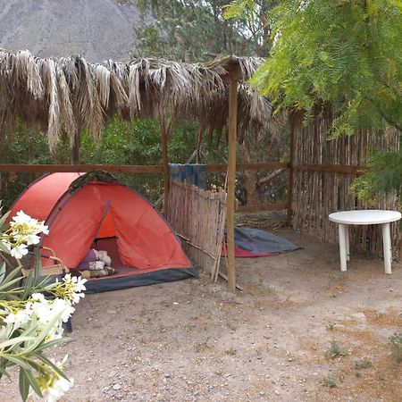 Astro Camping Elqui Experience Вікунья Екстер'єр фото