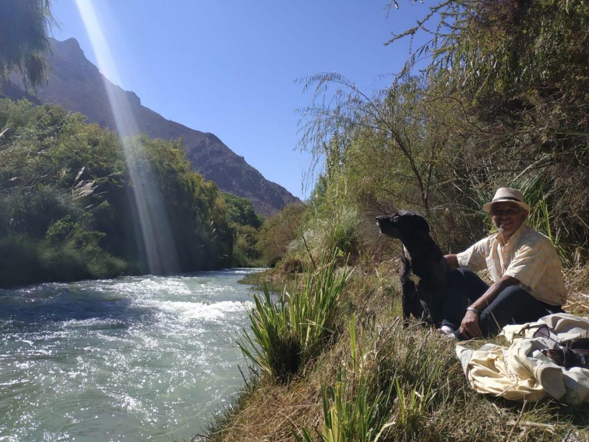 Astro Camping Elqui Experience Вікунья Екстер'єр фото